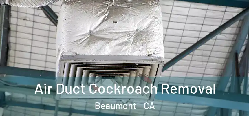  Air Duct Cockroach Removal Beaumont - CA