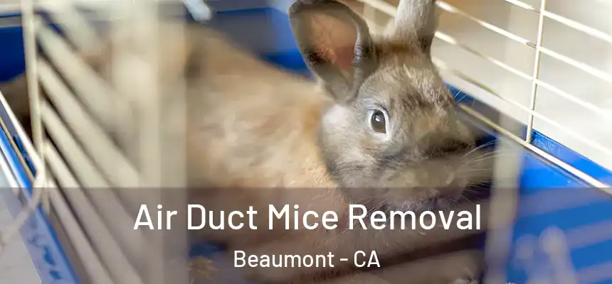 Air Duct Mice Removal Beaumont - CA