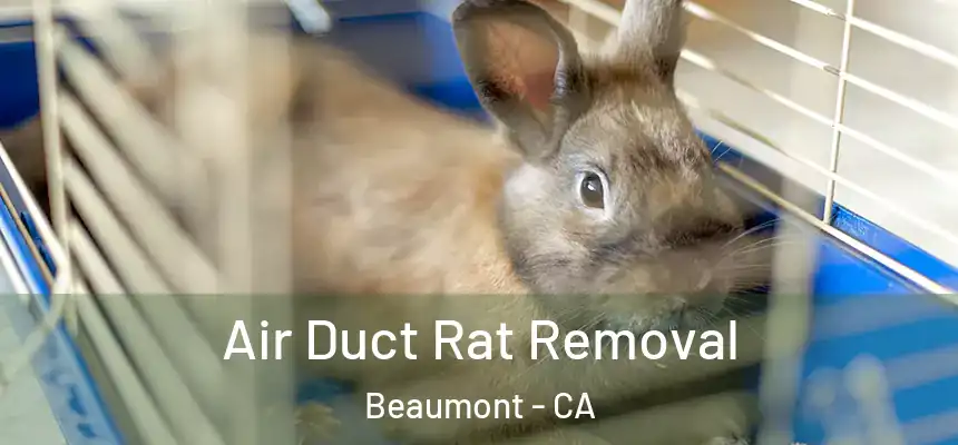 Air Duct Rat Removal Beaumont - CA