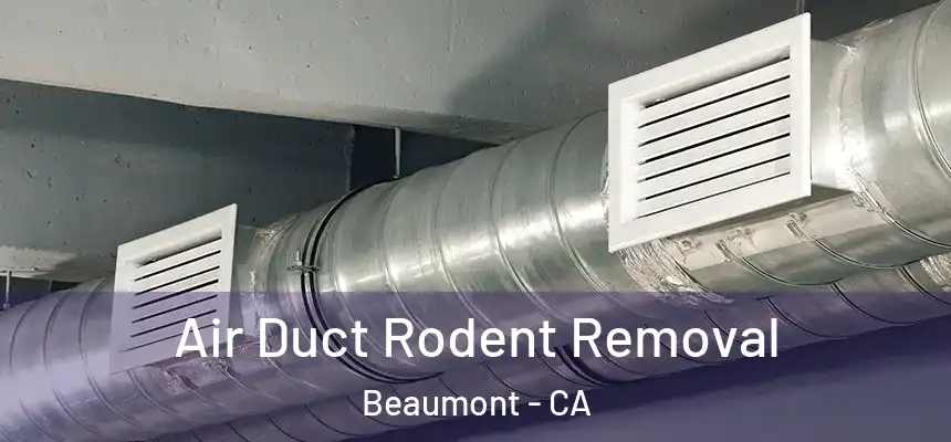  Air Duct Rodent Removal Beaumont - CA
