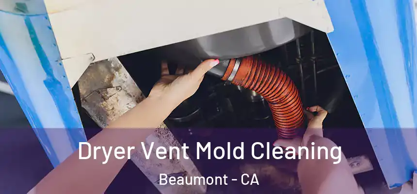  Dryer Vent Mold Cleaning Beaumont - CA