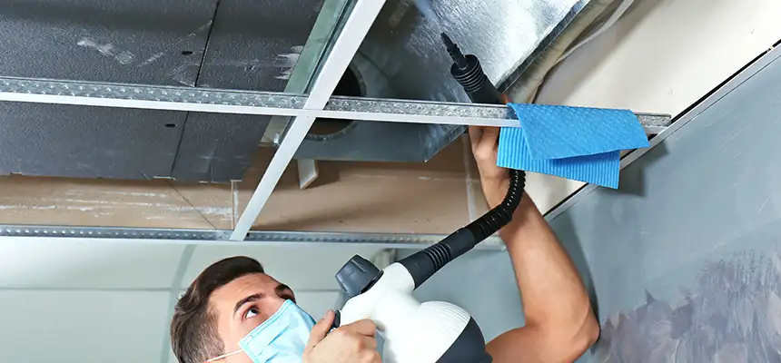 Our Air Duct Rodent Removal Services in Beaumont, CA