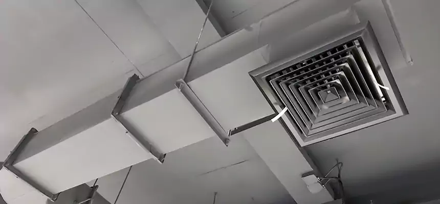 Our Pest Removal From Ducts Services in Beaumont, CA