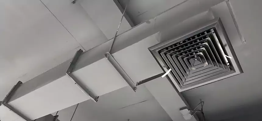 Our Rodent Droppings In Vents Services in Beaumont, CA