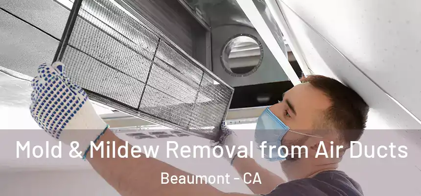 Mold & Mildew Removal from Air Ducts Beaumont - CA