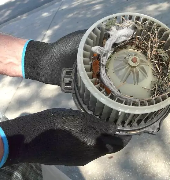 About Air Duct Rat Removal in Beaumont, CA