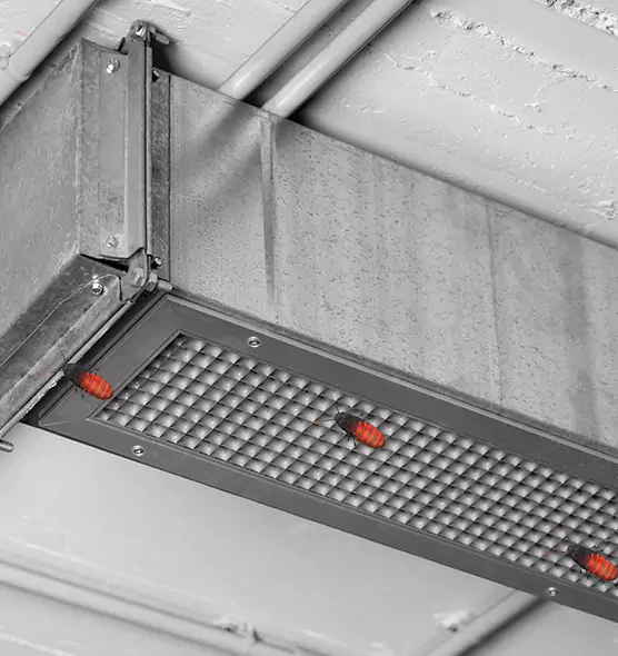 Affordable Insect Removal from Air Ducts in Beaumont, CA