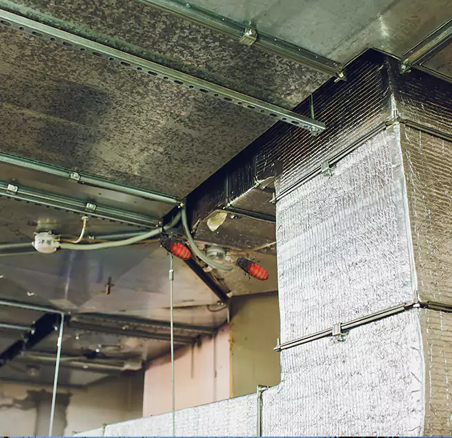 Why Homeowners & Businesses Trust Us in Beaumont, CA?