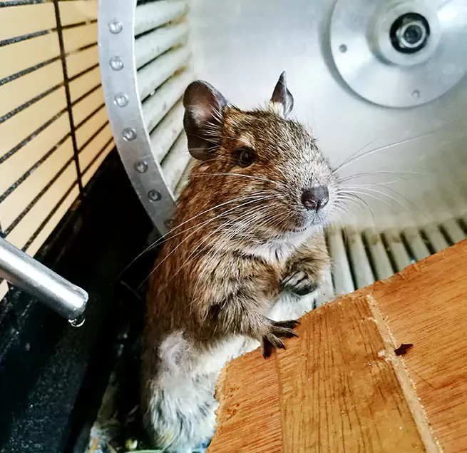 Why Homeowners & Businesses Trust Us Beaumont, CA