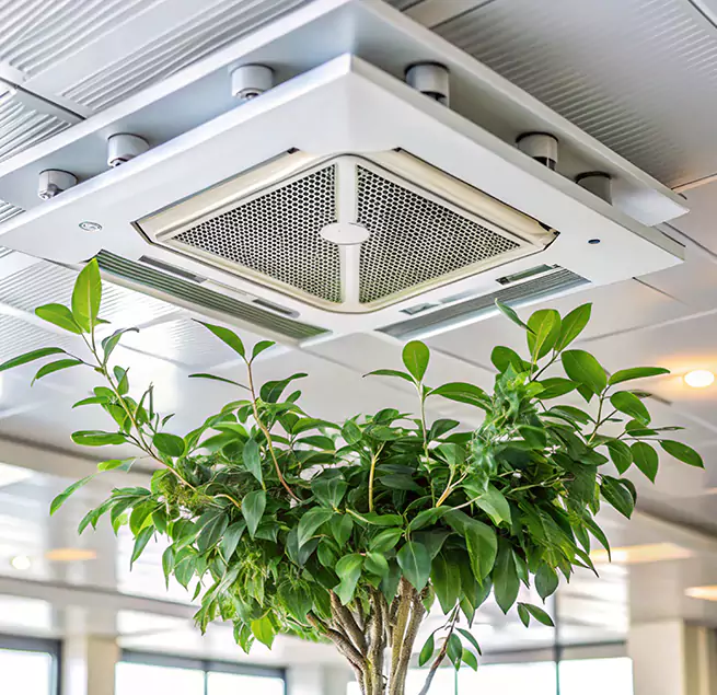 Why Homeowners & Businesses Trust Us in Beaumont, CA?